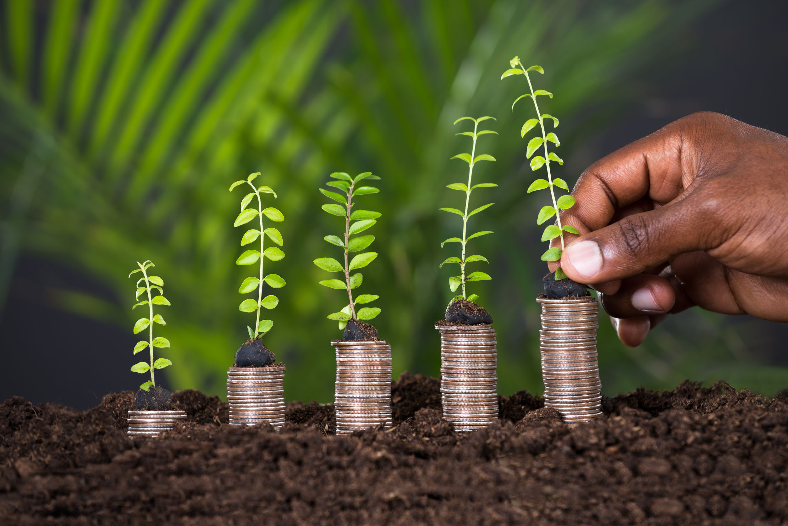 Money Market Fund